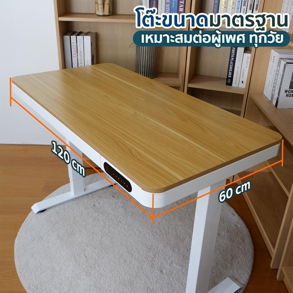 โต๊ะปรับระดับไฟฟ้า DESKSPACE DESK3 120 ซม. สีดำ