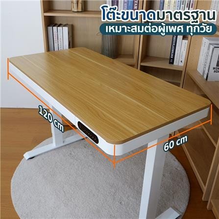 โต๊ะปรับระดับไฟฟ้า DESKSPACE DESK3 120 ซม. สีดำ_8