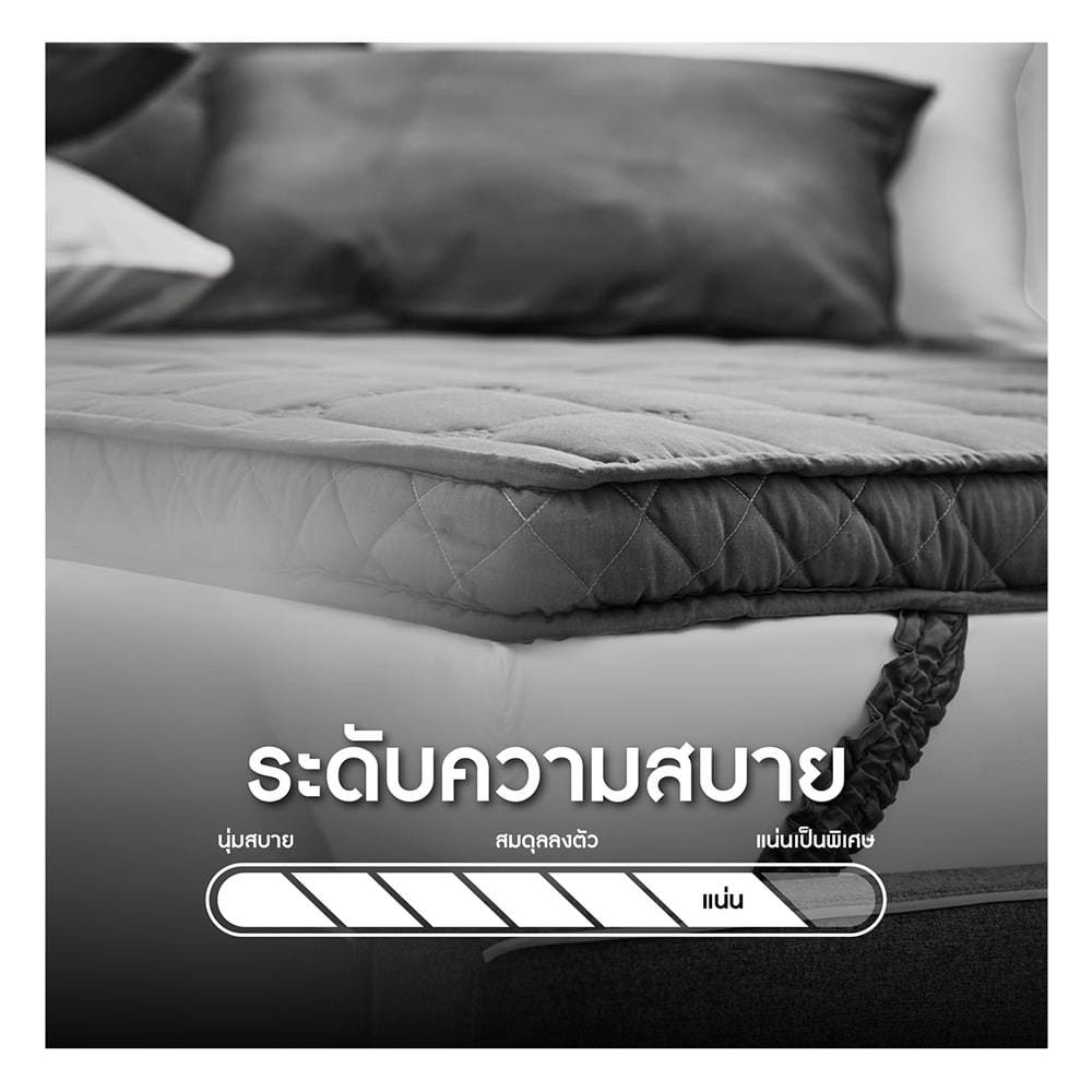 แผ่นรองนอน 5 ฟุต LOTUS SILVER SKY
