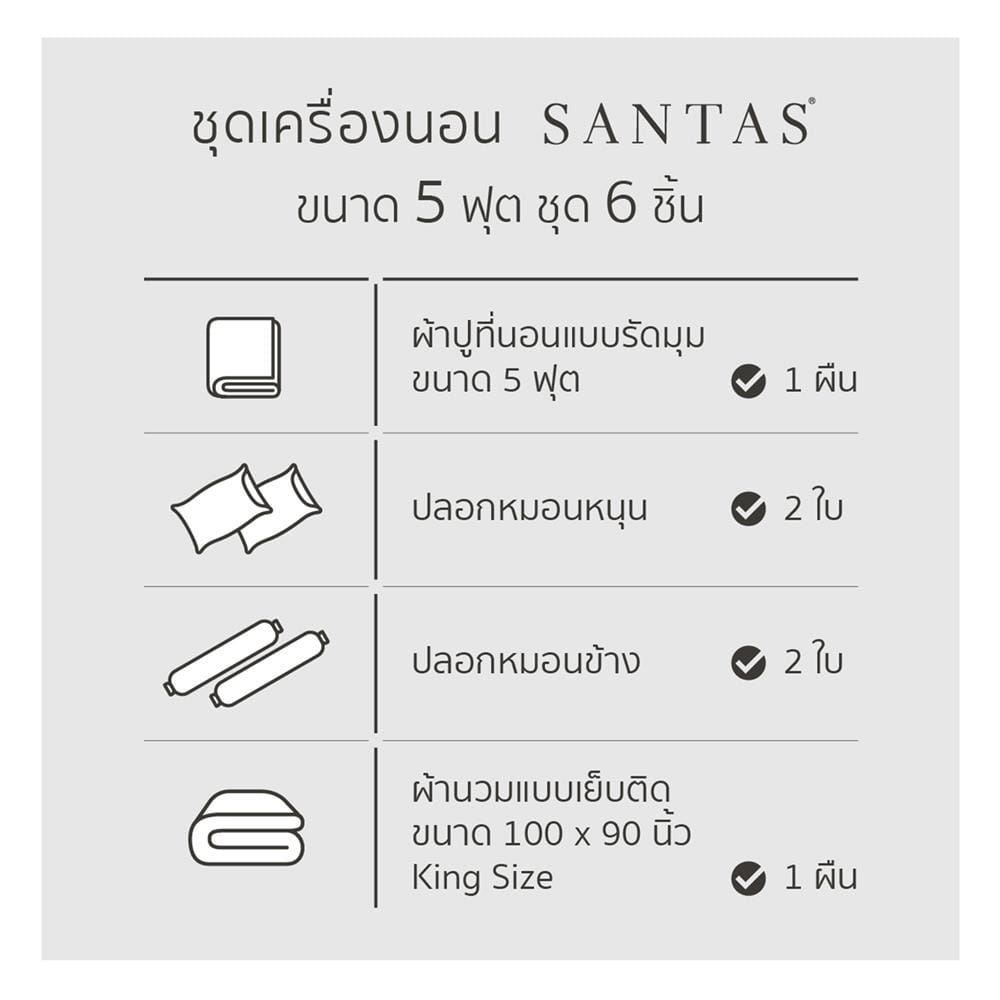 ชุดผ้าปูที่นอน 5 ฟุต 6 ชิ้น SANTAS SPHERE BL