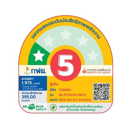 ตู้เย็น 2 ประตู TOSHIBA GR-RT234WE-DMTH(SS) 6.4 คิว สีเงิน_5