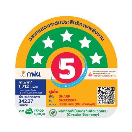 ตู้เย็น 2 ประตู SHARP SJ-XP300TP-DK 10.6 คิว สีเงินเข้ม_6