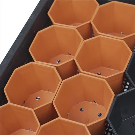 กระถางแคคตัส แปดเหลี่ยม SPRING 3 นิ้ว 24 ใบ พร้อมถาด_4