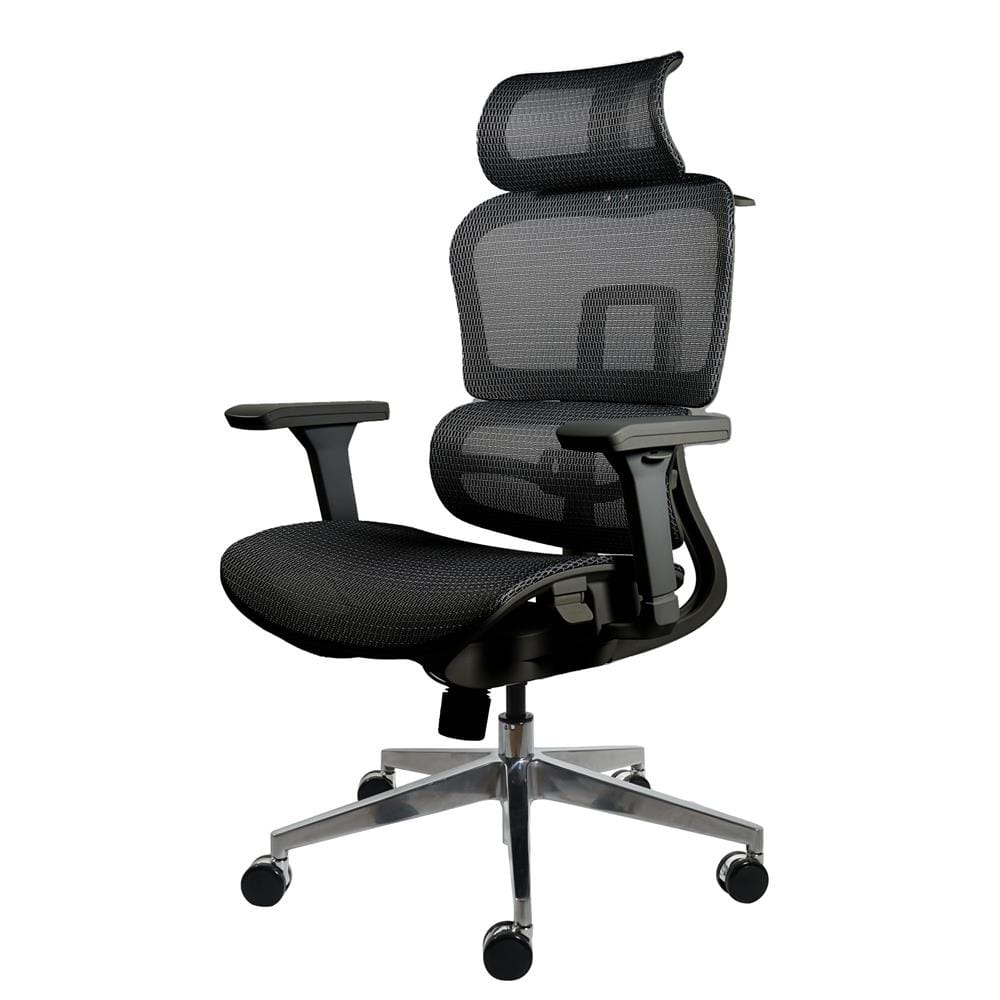 เก้าอี้สุขภาพ MODENA ERGO BODY NYLON/MESH สีดำ