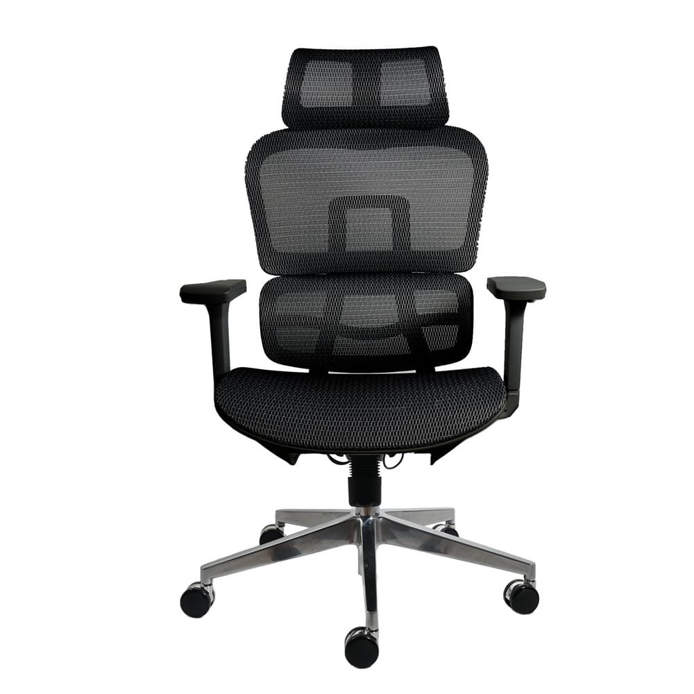 เก้าอี้สุขภาพ MODENA ERGO BODY NYLON/MESH สีดำ