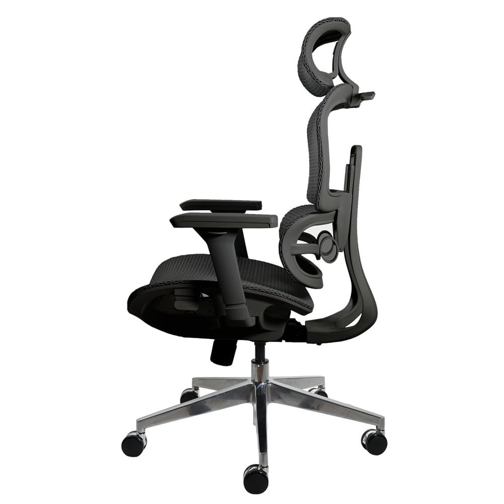 เก้าอี้สุขภาพ MODENA ERGO BODY NYLON/MESH สีดำ