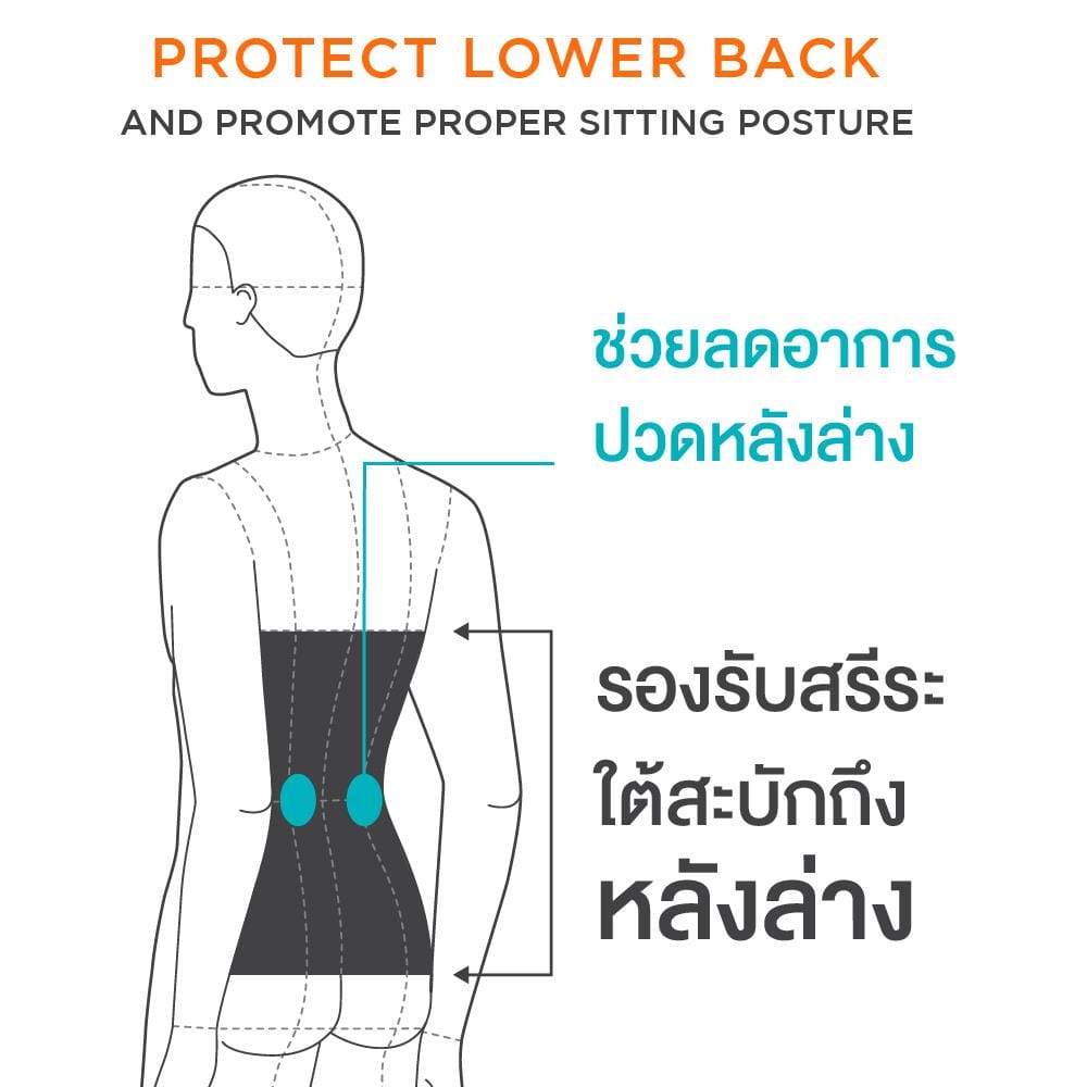 เบาะรองหลัง ERGOTREND 17.6X14 นิ้ว สีเทา