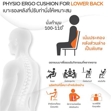 เบาะรองหลัง ERGOTREND 17.6X14 นิ้ว สีเทา_7