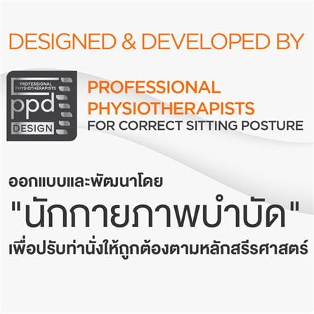เบาะรองหลัง ERGOTREND 17.6X14 นิ้ว สีเทา_8