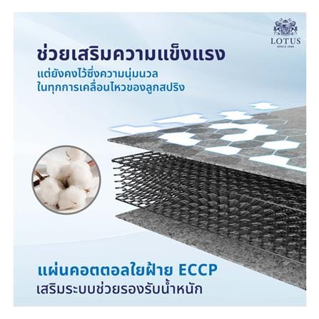 ที่นอนยางพารา 5 ฟุต LOTUS รุ่น HUDSON I พร้อมหมอนหนุน 2 ชิ้น_11