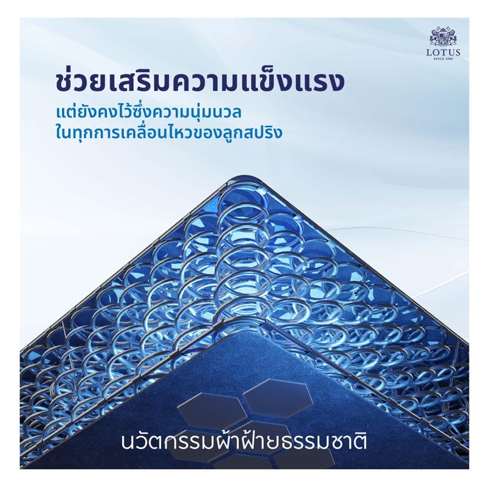 ที่นอนสปริง 6 ฟุต LOTUS รุ่น MATILDA 200 พร้อมหมอนหนุน 2 ชิ้น