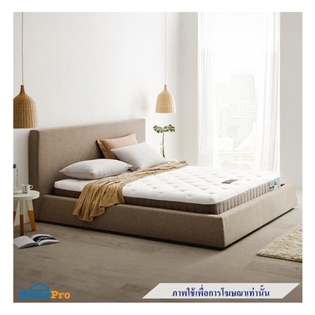 ที่นอนยางพารา 3.5 ฟุต LOTUS รุ่น BRAXTON II พร้อมหมอนหนุน 1 ชิ้น_3