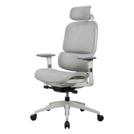 เก้าอี้สุขภาพ WORKSCAPE STELLA WCH-00050 สีเทา