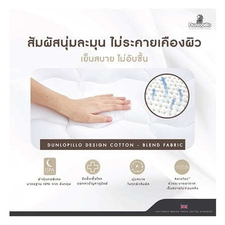 ที่นอนโฟม 5 ฟุต DUNLOPILLO รุ่น DUDLEY พร้อมหมอนหนุน 2 ชิ้น_3