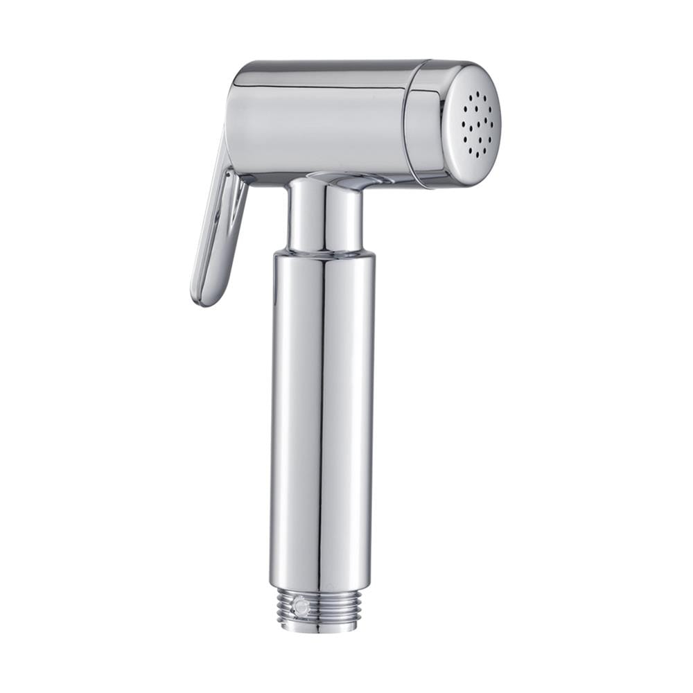 สายฉีดชำระเฉพาะหัว BEN BN H812-H557 สีโครม
