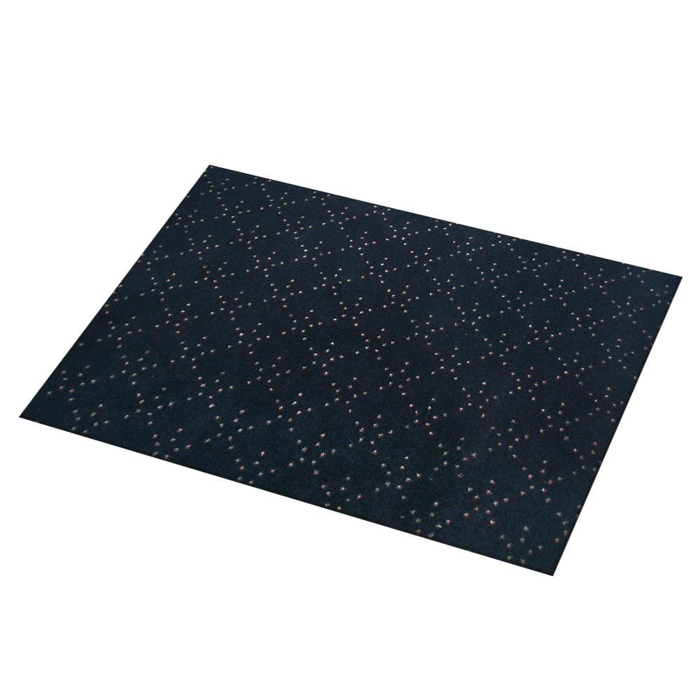 พรมเช็ดเท้าดักฝุ่น PRAW DE LUCKY BLACK 120X180 ซม. สีดำ
