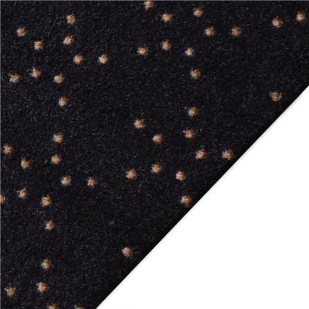 พรมเช็ดเท้าดักฝุ่น PRAW DE LUCKY BLACK 120X180 ซม. สีดำ_2