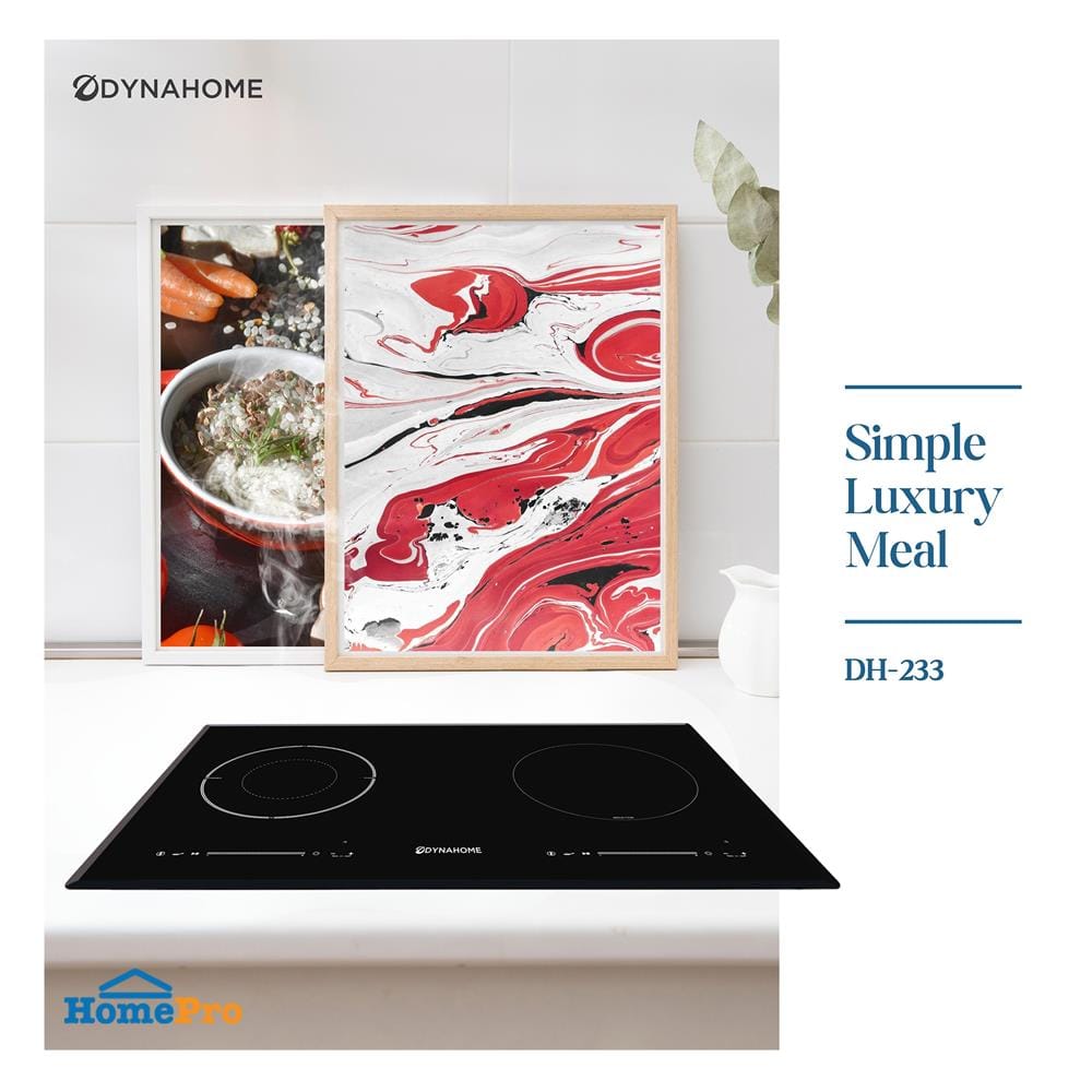 เตาฝังผสมไฟฟ้า DYNA HOME DH-233 73 ซม.