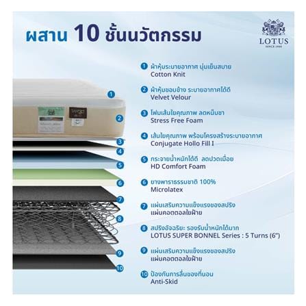 ที่นอนยางพารา 3.5 ฟุต LOTUS รุ่น HUDSON II พร้อมหมอนหนุน 1 ชิ้น_5