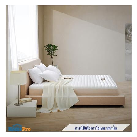ที่นอนยางพารา 3.5 ฟุต LOTUS รุ่น HUDSON II พร้อมหมอนหนุน 1 ชิ้น_3