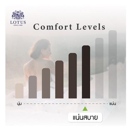 ที่นอนไฮบริด 6 ฟุต LOTUS รุ่น ROYCE II พร้อมชุดเครื่องนอน 11 ชิ้น_13