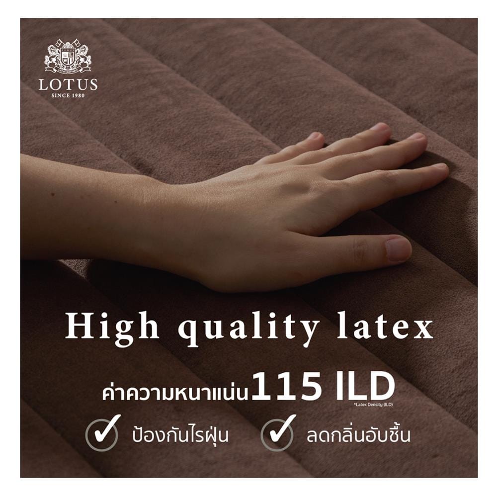 ที่นอนไฮบริด 3.5 ฟุต LOTUS รุ่น ROYCE II พร้อมชุดเครื่องนอน 7 ชิ้น