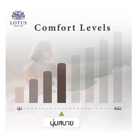 ที่นอนไฮบริด 5 ฟุต LOTUS รุ่น ROYCE III พร้อมชุดเครื่องนอน 11 ชิ้น_14