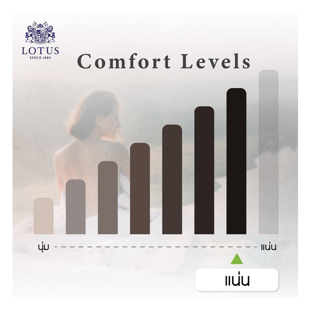 ที่นอนไฮบริด 3.5 ฟุต LOTUS รุ่น ROYCE พร้อมชุดเครื่องนอน 7 ชิ้น