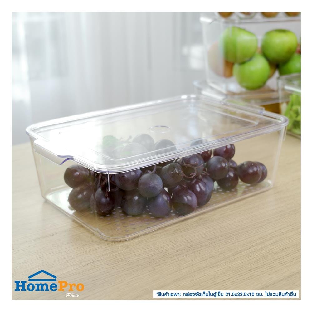 กล่องจัดเก็บในตู้เย็น KECH SNOWY 21.5x33.5x10 ซม.
