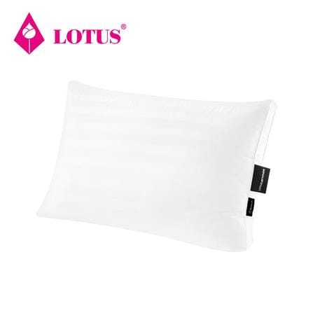 หมอนสุขภาพ ไมโครดาวน์เนีย LOTUS ATTITUDE CARE MEDIUM 20x30 นิ้ว สีขาว_0