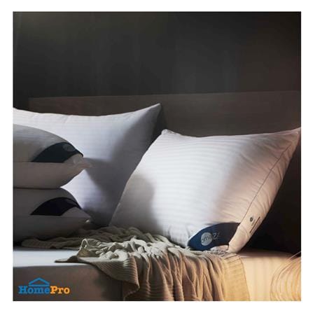 หมอนสุขภาพ นาโนดาวน์ OMAZZ LOFTY 20x30 นิ้ว สีขาว_4