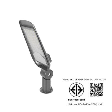 ไฟถนน LED LAMPTAN LEADER 30 วัตต์ DAYLIGHT สีเทา_10