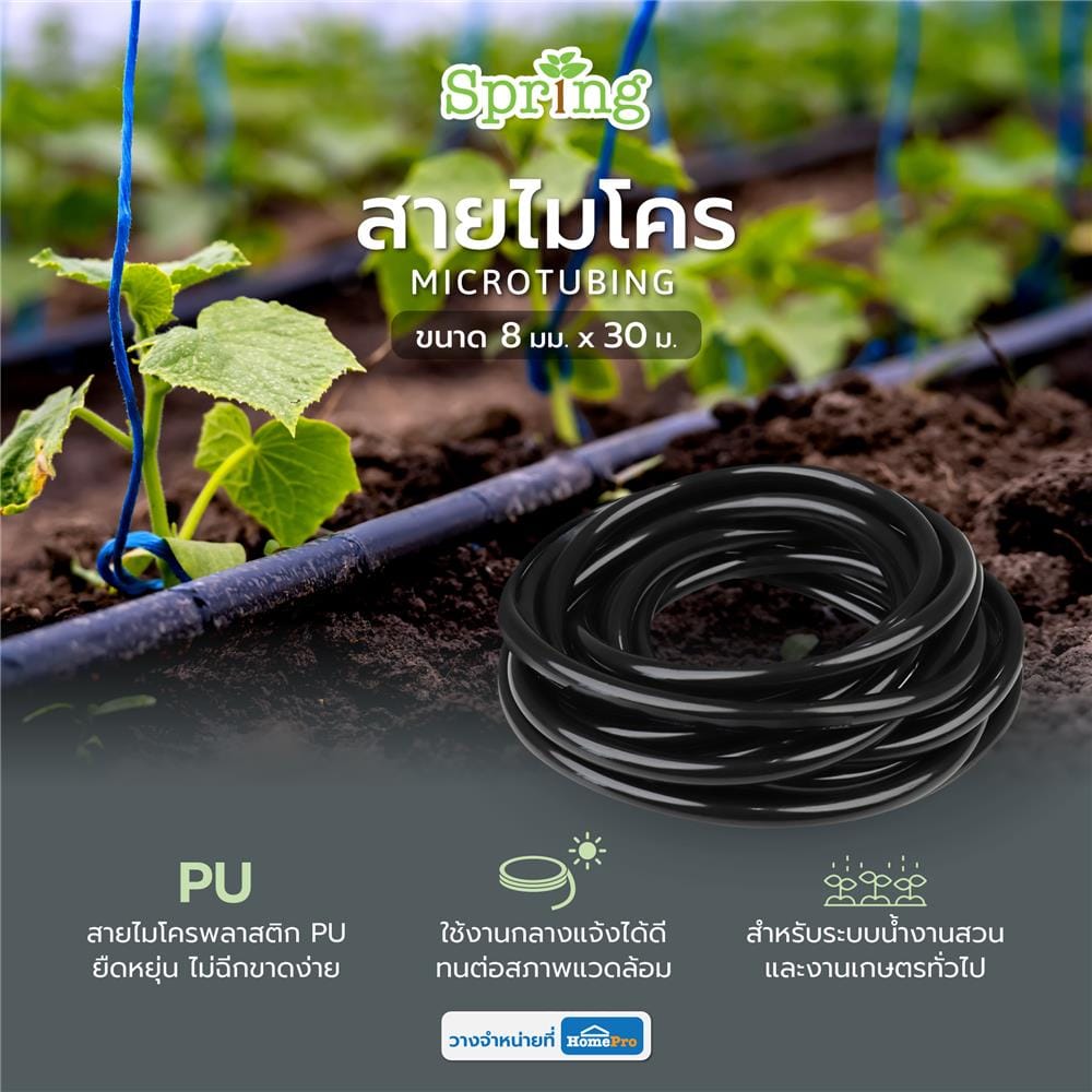 สายไมโคร SPRING DY2333 8 มม. X 30 ม.