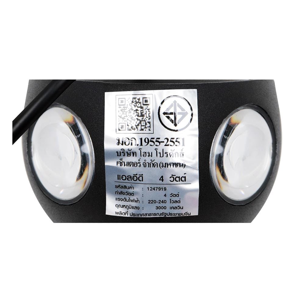 ไฟกิ่งภายนอก LED CARINI BO-T4101-4 4 วัตต์ WARM WHITE สีดำ