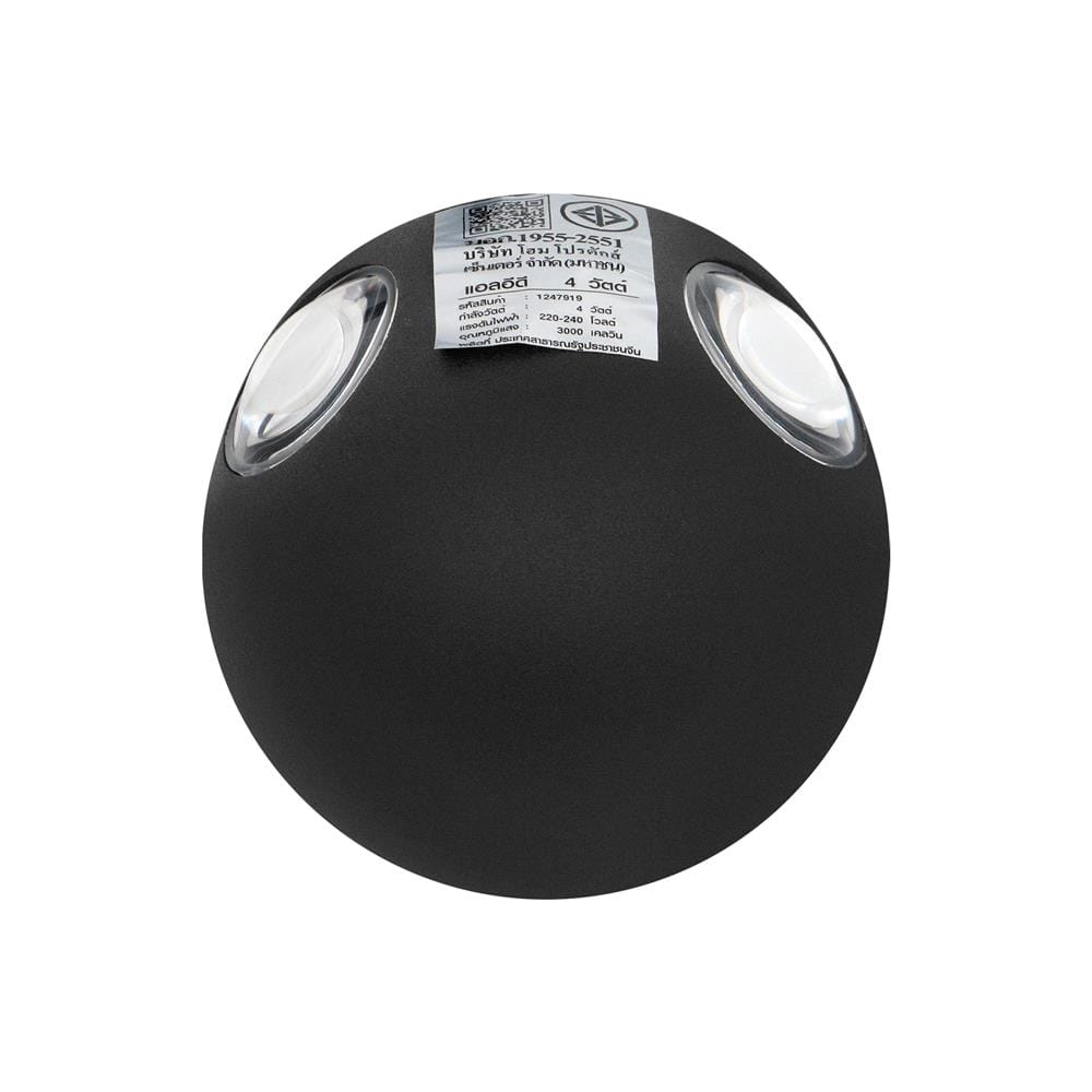 ไฟกิ่งภายนอก LED CARINI BO-T4101-4 4 วัตต์ WARM WHITE สีดำ