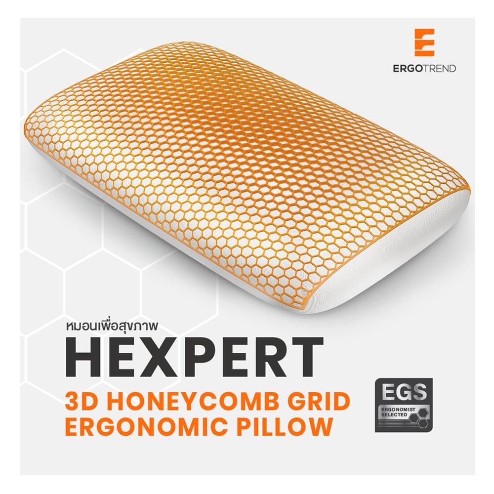 หมอนสุขภาพ เมมโมรี่โฟม ERGOTREND HEXPERT 3D 60x40x13 ซม. สีขาว