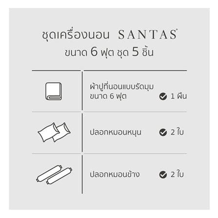 ชุดผ้าปูที่นอน 6 ฟุต 5 ชิ้น SANTAS RUGRATS GR_6