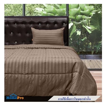 ผ้านวม PICASSO SMILE 60X80 นิ้ว ลายริ้ว สี BROWN_2