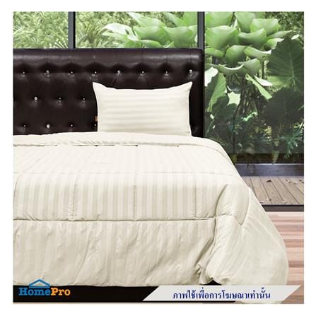 ผ้านวม PICASSO SMILE 70X90 นิ้ว ลายริ้ว สี CREAM_2