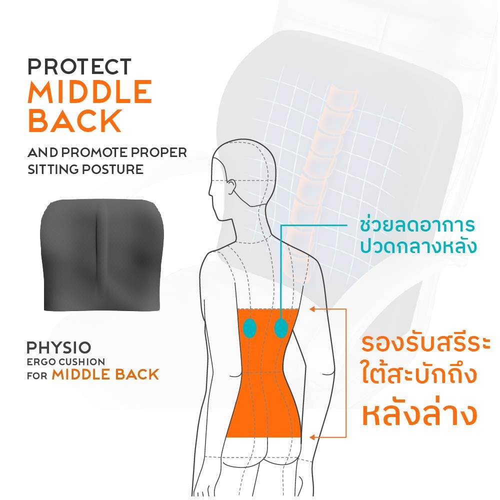 เซตคู่เบาะรองนั่ง-เบาะรองหลัง ERGOTREND 16.8X16.8 นิ้ว สีเทา