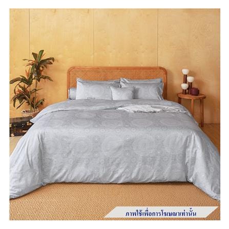 ชุดผ้าปูที่นอน 6 ฟุต 3 ชิ้น PERICO REGAL PRINT RE249