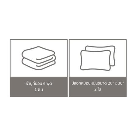 ชุดผ้าปูที่นอน 6 ฟุต 3 ชิ้น PERICO REGAL PRINT RE246_5