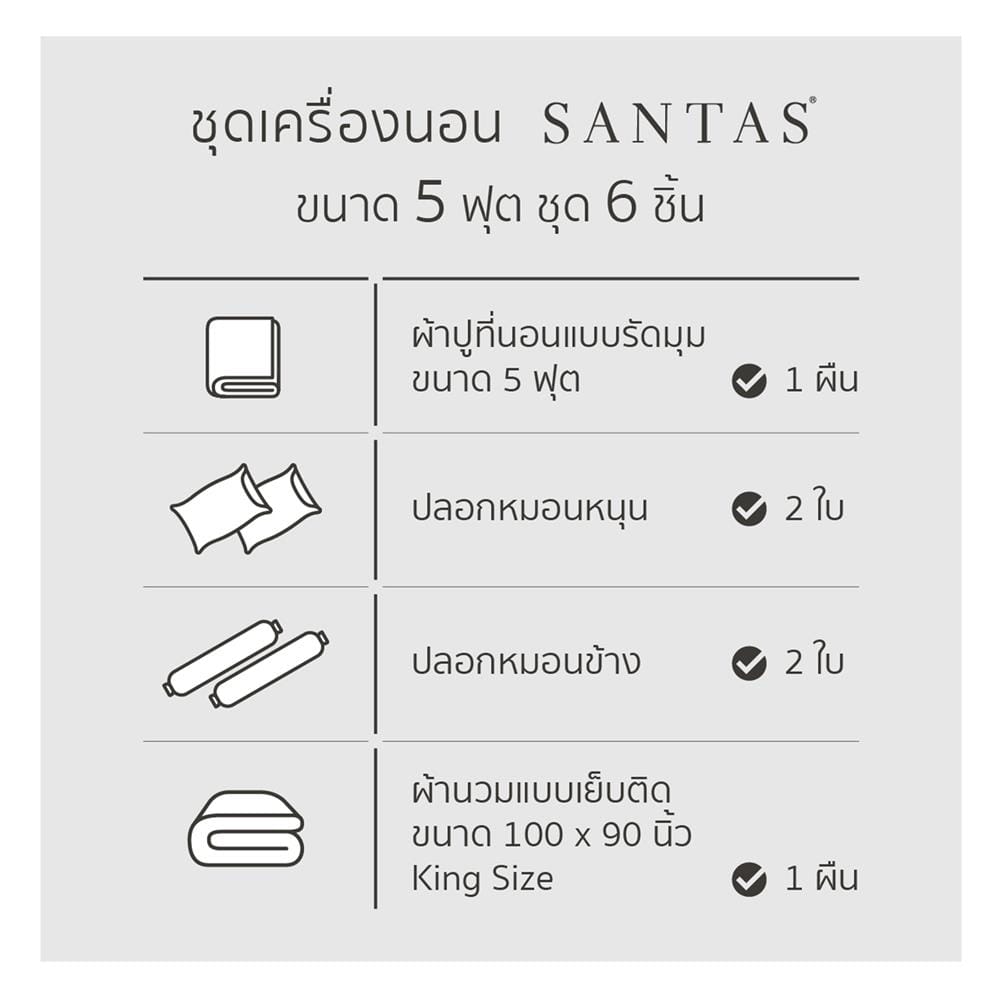 ชุดผ้าปูที่นอน 5 ฟุต 6 ชิ้น SANTAS VIVACIOUS VI
