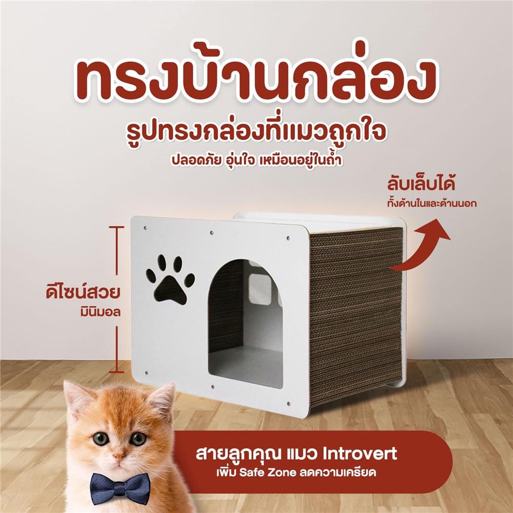 ที่ลับเล็บแมว LUVORA CATHOME 3 ทรงกล่อง