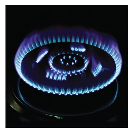 เตาฝังแก๊ส DYNA HOME DH-300-SJF 78 ซม._3