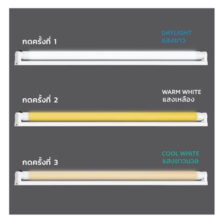 ชุดรางนีออน LED LAMPTAN T8 SET COLOUR LYN-GUARD 10 วัตต์ DAYLIGHT/COOL WHITE/WARM WHITE_4