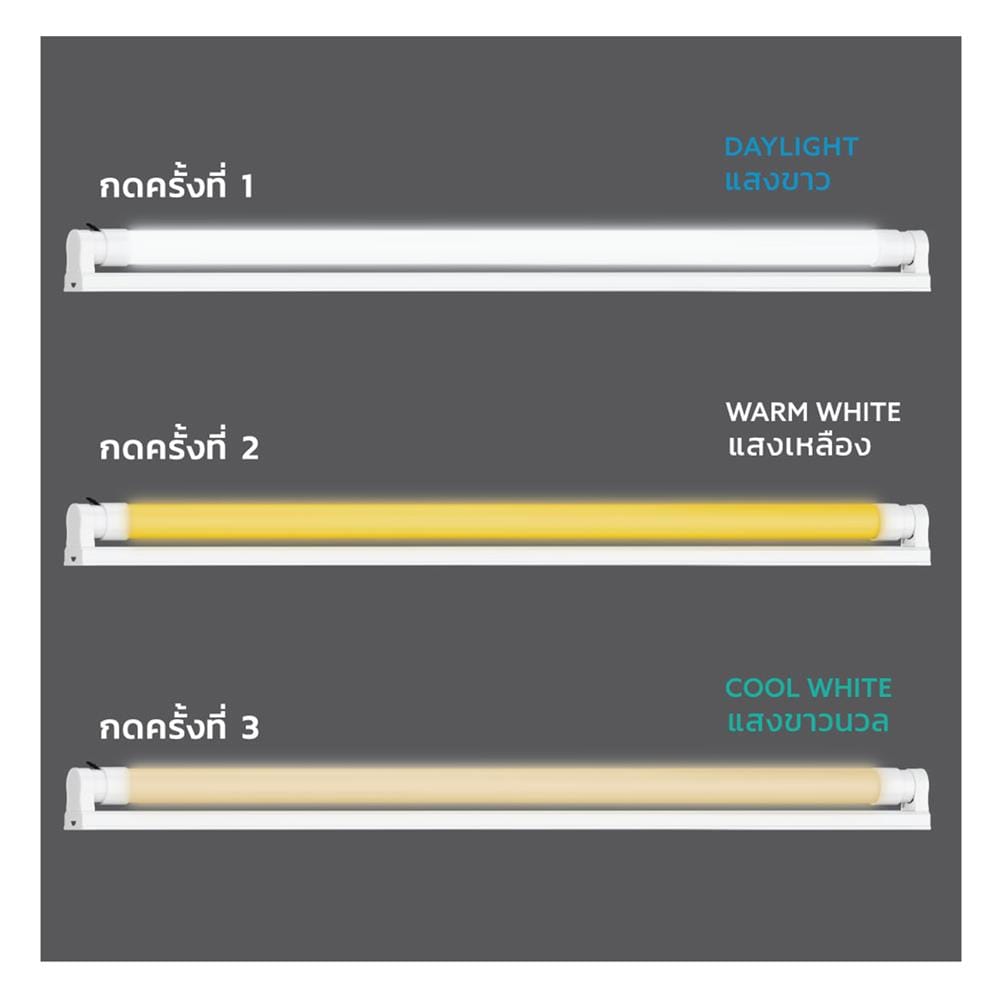 ชุดรางนีออน LED LAMPTAN T8 SET COLOUR LYN-GUARD 20 วัตต์ DAYLIGHT/COOL WHITE/WARM WHITE