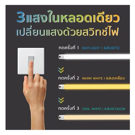 หลอด LED สั้น LAMPTAN TUBE COLOUR SWITCH GOLD LYN GUARD 10 วัตต์ DAYLIGHT/COOL WHITE/WARM WHITE G13_5