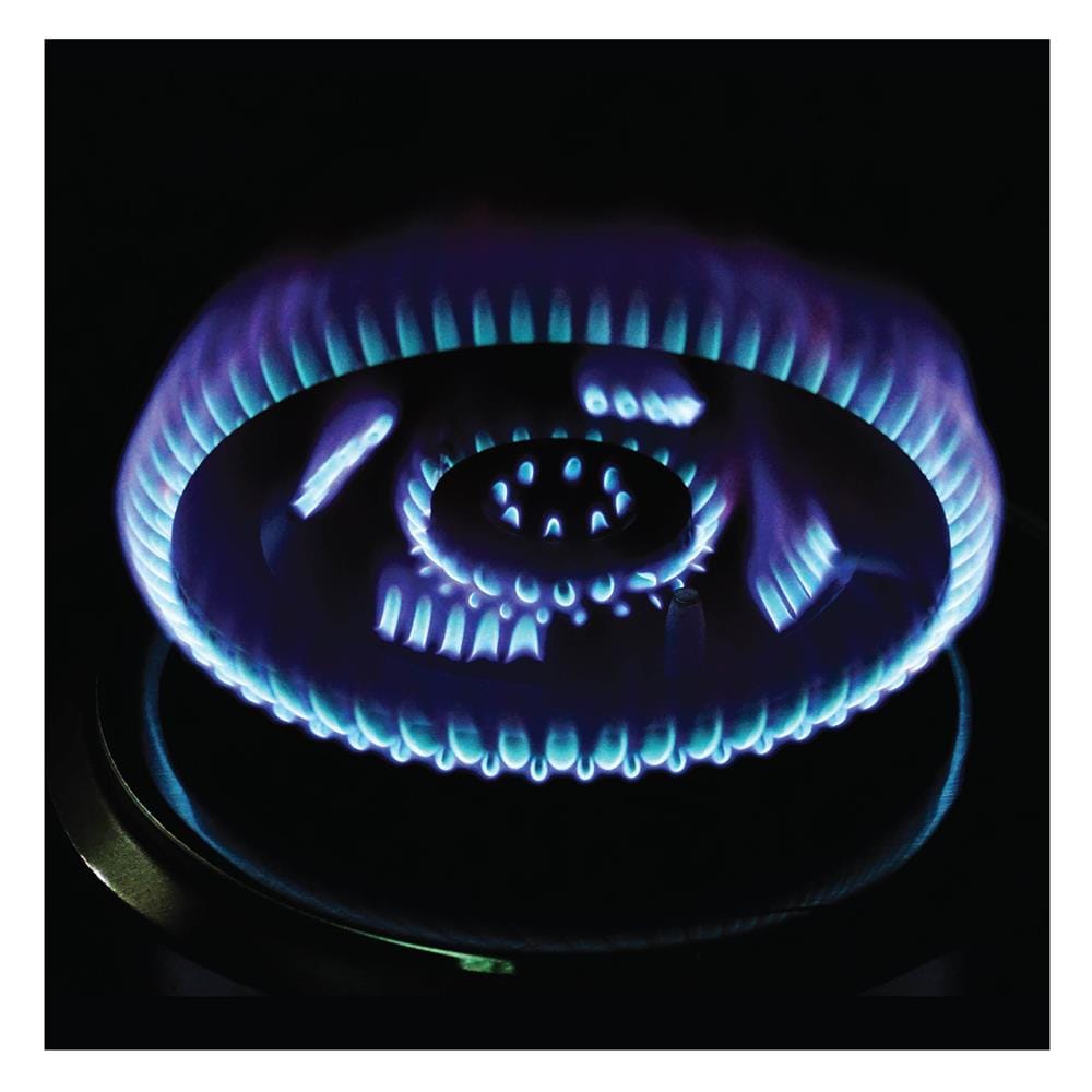 เตาฝังแก๊ส DYNA HOME DH-200-SJF 78 ซม.