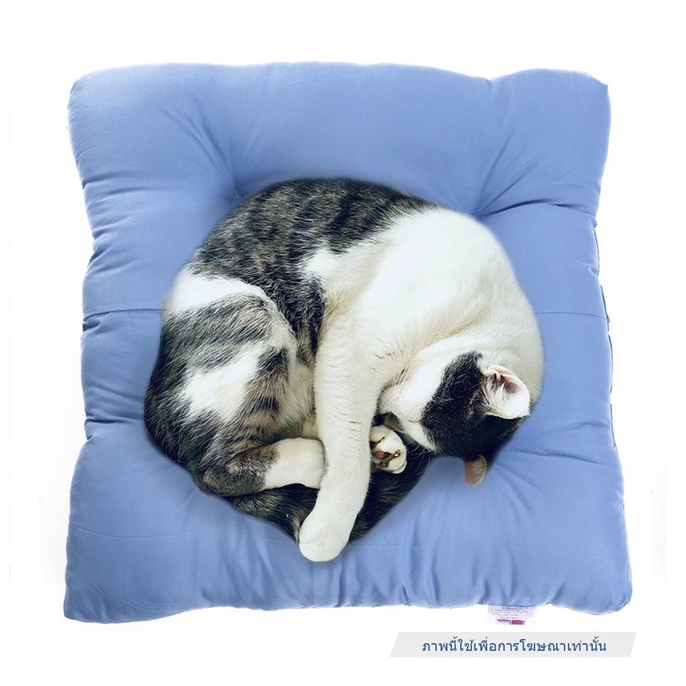 เบาะรองนั่งสัตว์เลี้ยง MAHDUM CHAMMY REST CUSHION สีฟ้า